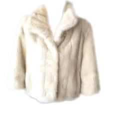 �є烊�t�H�[���@�t�@�[�T�����@�T���v���@�W���P�b�g1